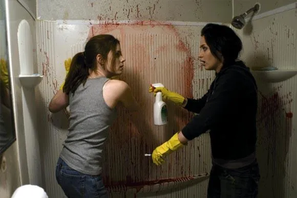 sunshine cleaning 1