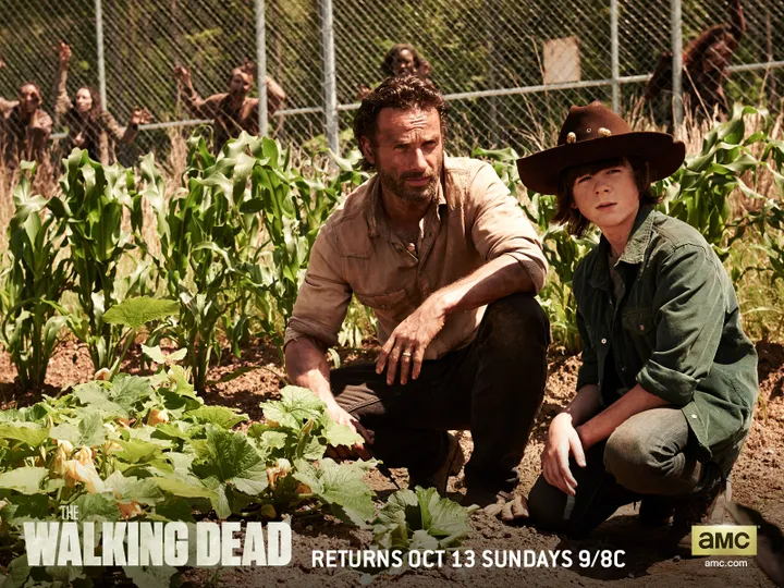 the walking dead season 4 wallpapers 2