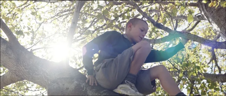 the weight of elephants 12002038 st 8 s low