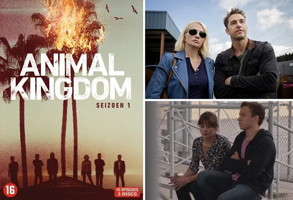 week200620 20animal20kingdom20s1