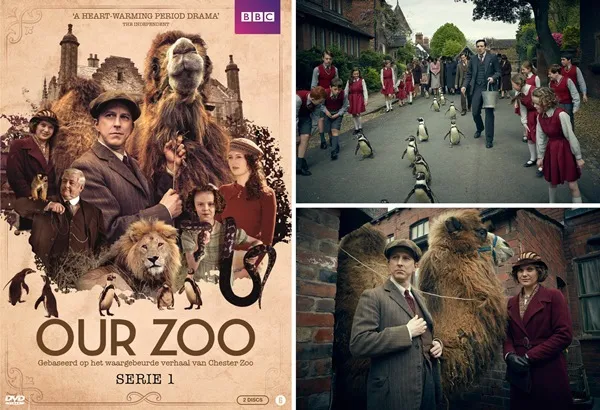 week201920 20our20zoo20serie201