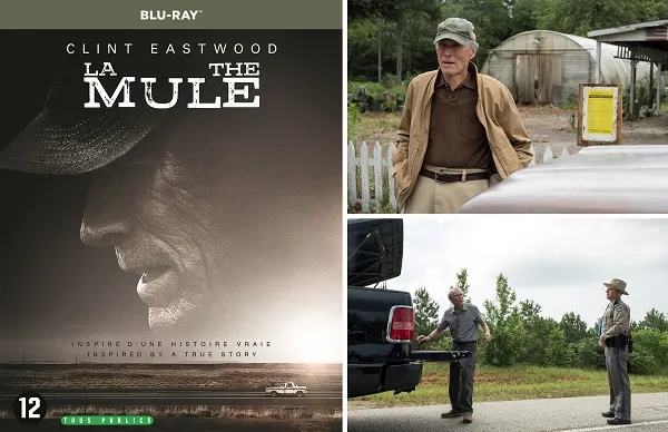 week202420 20the20mule