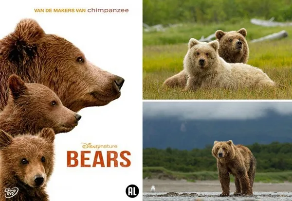 week203520 20bears