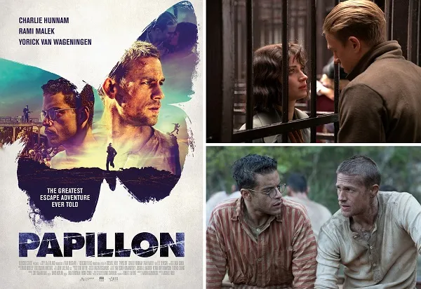 week203620 20papillon