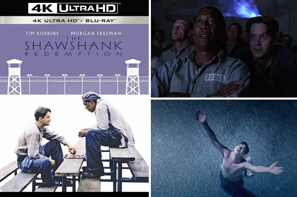 week203720 20the20shawshank20redemption