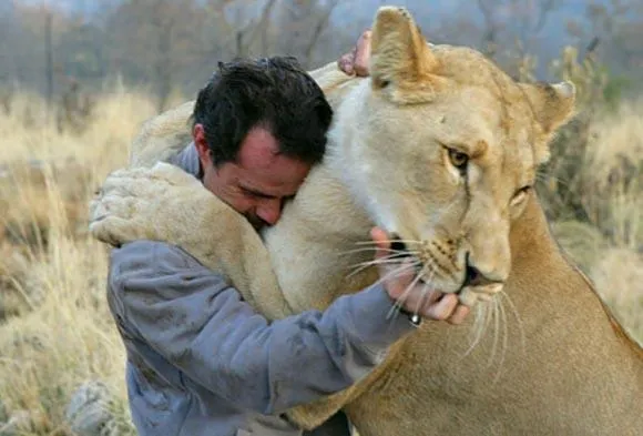white lion 2