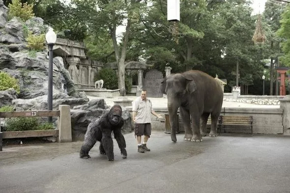 zookeeper 09030029 st 1 s low