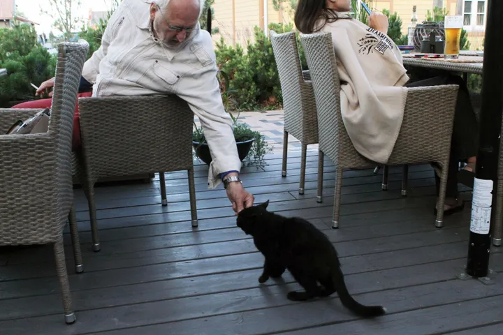 „Nidos Kuršis“ murkis nuolatinis lankytojas / M. Patašiaus nuotr.