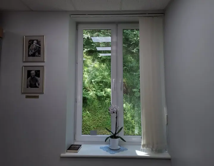 Žaluma už lango./S. Javaitytės nuotr.