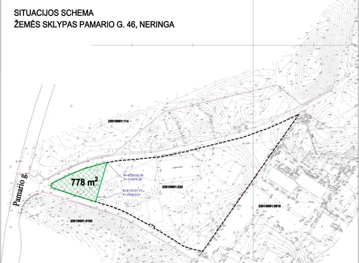 Sprendimo projektas dėl taikos sutarčių sudarymo