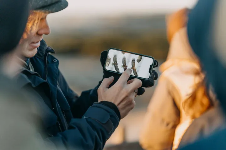 Paukščių sugrįžtuvės