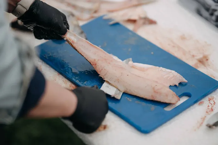 „Žiobrinės“ Nidoje