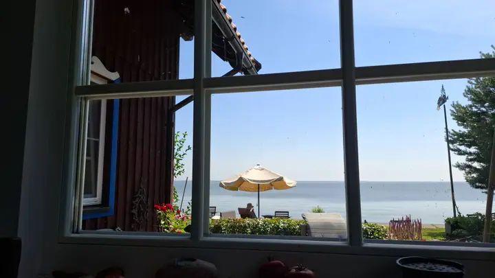 Kuršių marios / S. Javaitytės nuotr.