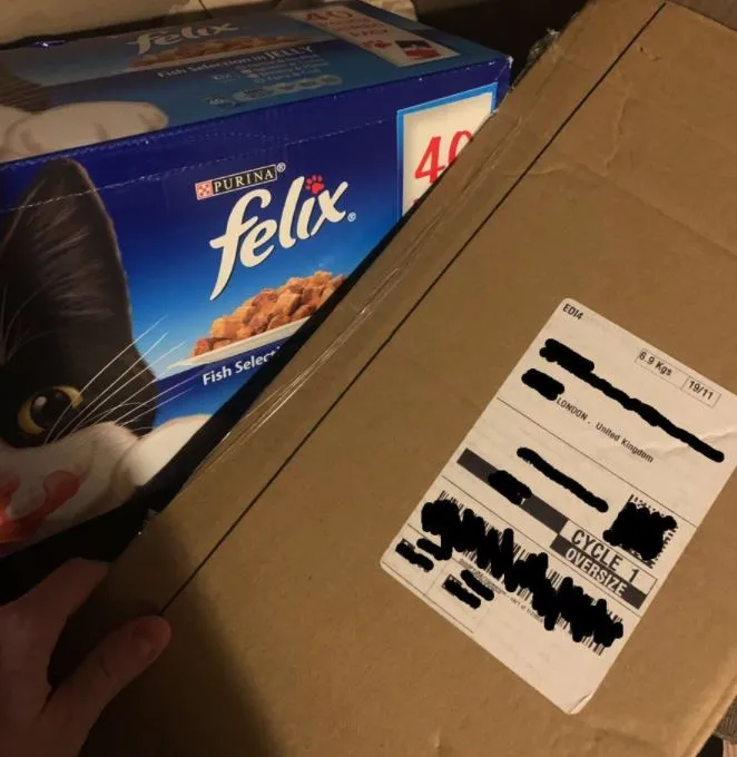 cat food