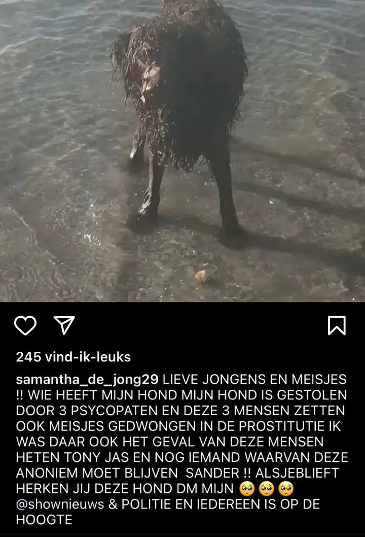 image 2022 04 06 160605