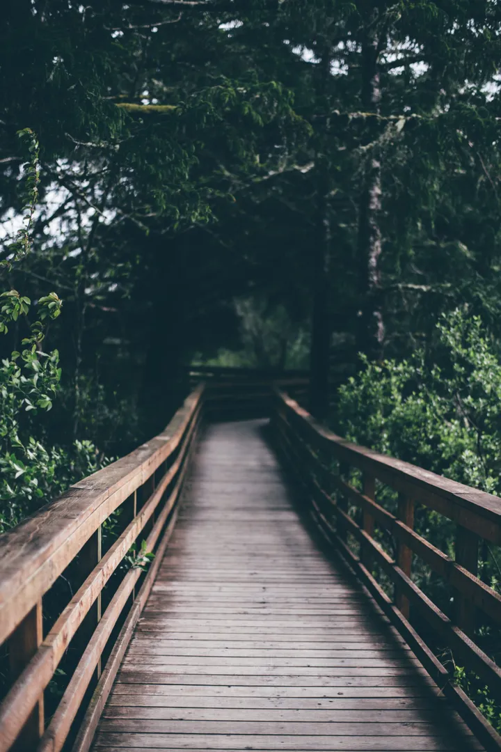 katie moum gsvvcyox6vy unsplash scaled