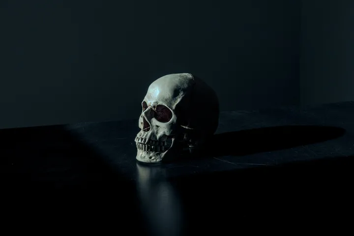 mathew macquarrie u6onpbmuzas unsplash scaled