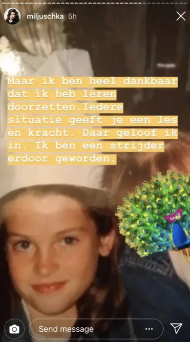 schermafbeelding 2019 04 08 om 152949