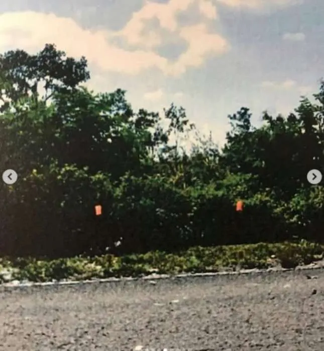 schermafbeelding 2019 11 23 om 205711