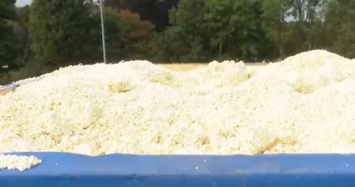 schermafbeelding 2021 09 12 om 155640