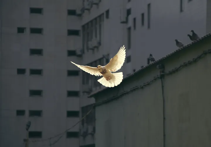 sunguk kim jhqbxsoruxa unsplash