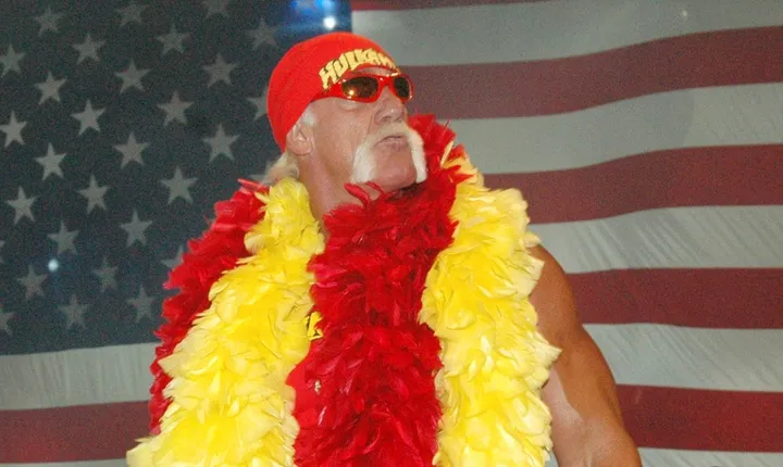 hulk hogan 3