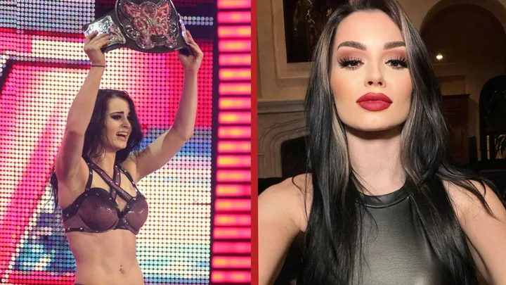 Im April 2014 wurde Paige Divas-Champion bei WWE