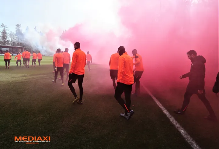 07289493 4b8c 4740 9443 2358ed00db5d