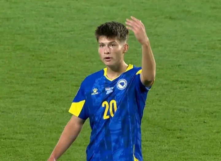 Esmir Bajraktarević1