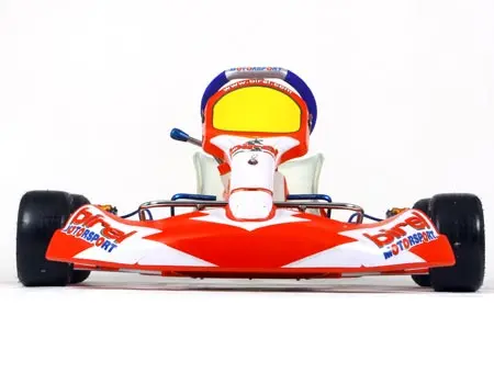 birel 2009 kz 1