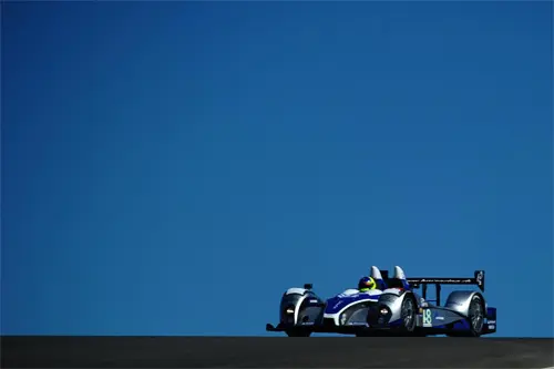 rx verdonck algarve