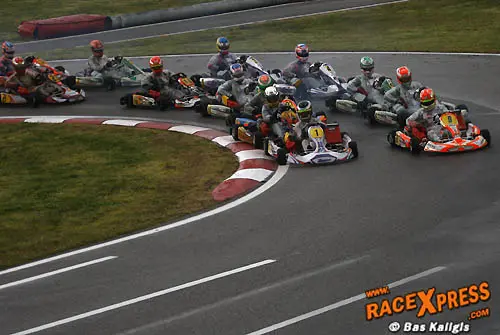 Nyck de Vries op pole