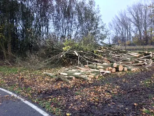 kart centrum lelystad 3