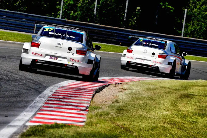 Citroen WTCC