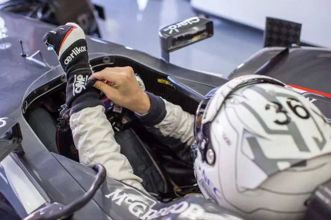 Giedo van der Garde Sauber F1