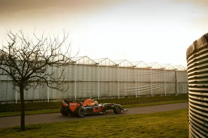 F1 2020 Max Verstappen