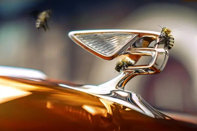  Bentley Beyond100-programma: leidende rol richting een CO2-neutrale toekomst