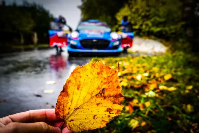 Central European Rally herfst