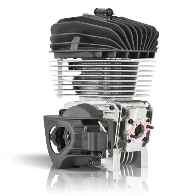IAME KA100 engine
