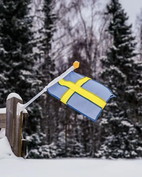 Zweedse vlag