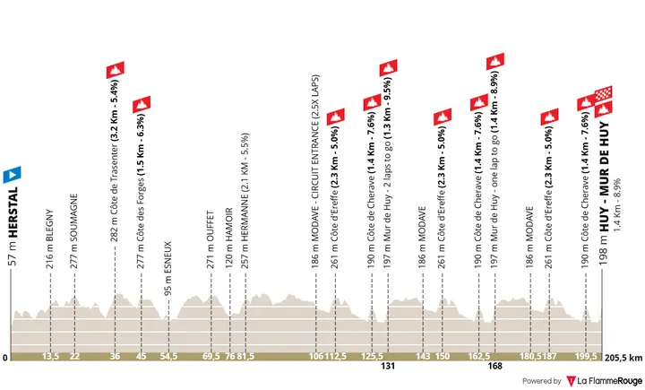 Profil La Fleche Wallonne 2026