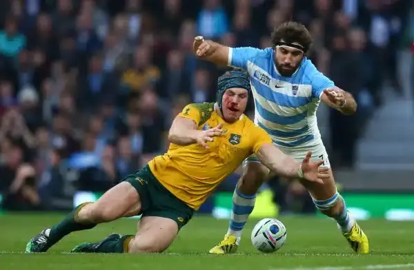LONDON, ENGLAND - OCTOBER 25: David Pocock of Australia and Juan Martin Fernandez Lobbe of Argentina compete for the ball during the 2015 Rugby World Cup Semi Final match between Argentina and Australia at Twickenham Stadium on October 25, 2015 in London,