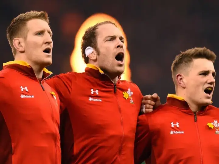 10226666666666666x767 origin 0x0 bradley davies alun wyn jones jonathan davies wales