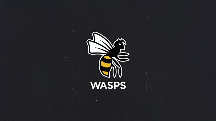 wasps logo 16x9 1