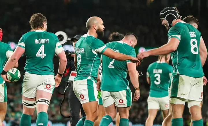 Ireland player ratings vs Argentina