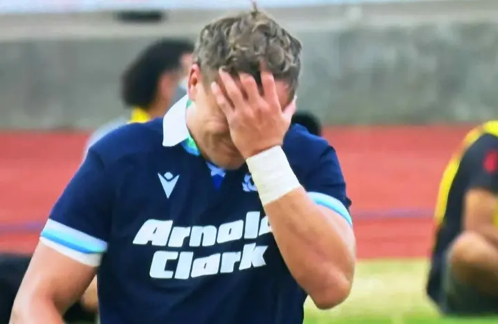 Scotland player ratings vs Fiji