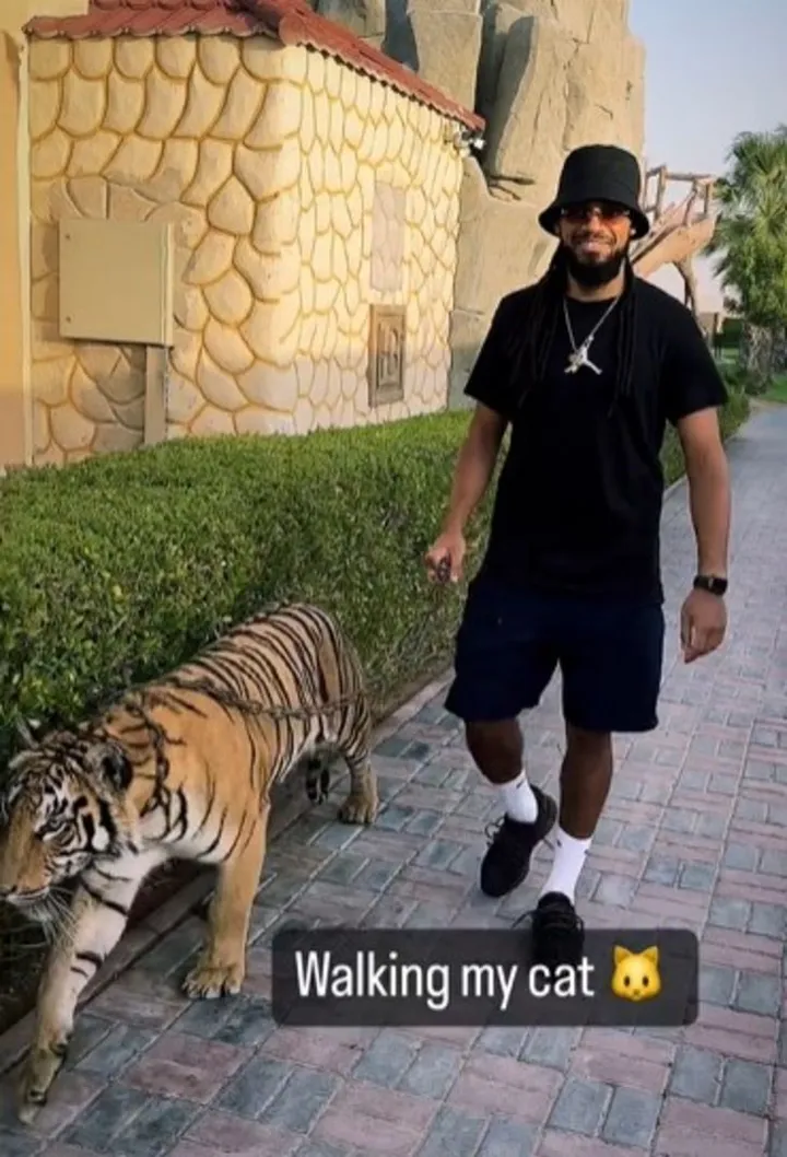jason tiger