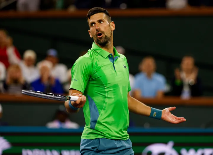 Bild Novak Djokovic Blick rücklings gerichtet, Arme seitlich gestreckt<br>