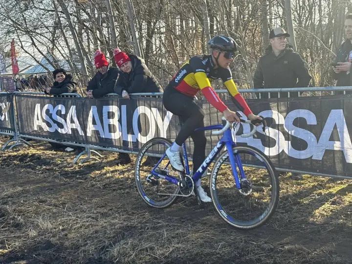 thibau-nys