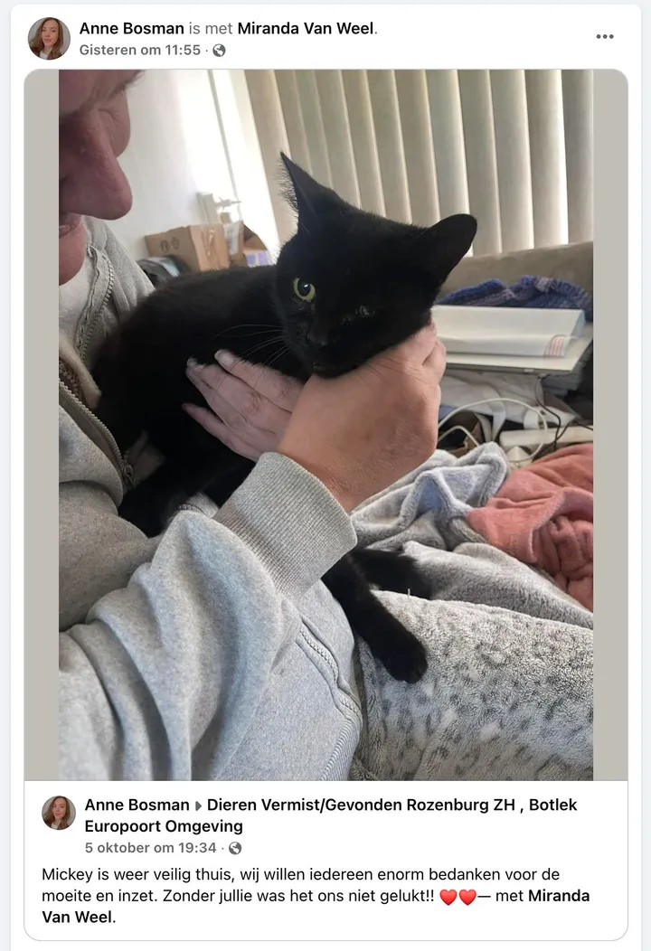 picture vk kat mickey werd op klaarlichte dag ontvoerd in rozenburg maar is gelukkig weer thuis